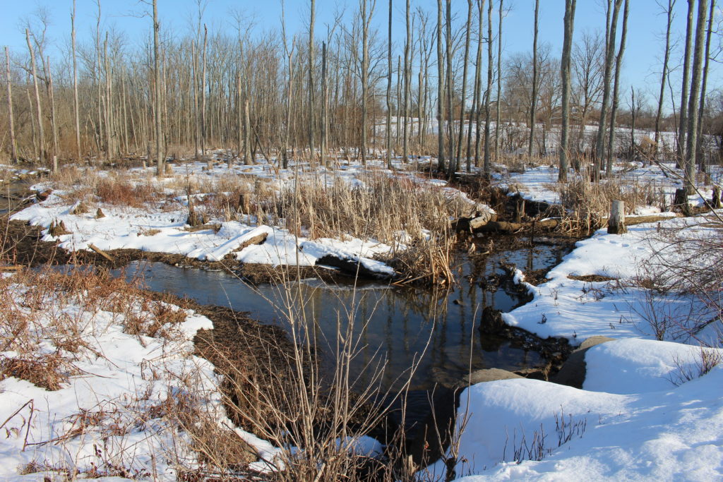 Water and snow photo