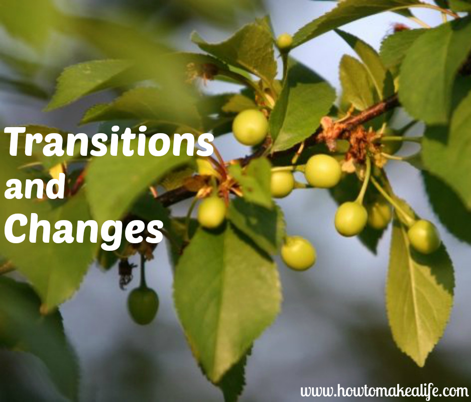 Transitions and Changes