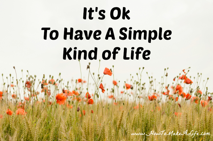 The case for why it is ok to have a simple kind of life